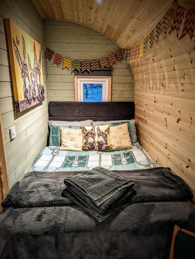 Emlyn'S Coppice - Luxury Woodland Glamping Villa โฮลีเวล ภายนอก รูปภาพ
