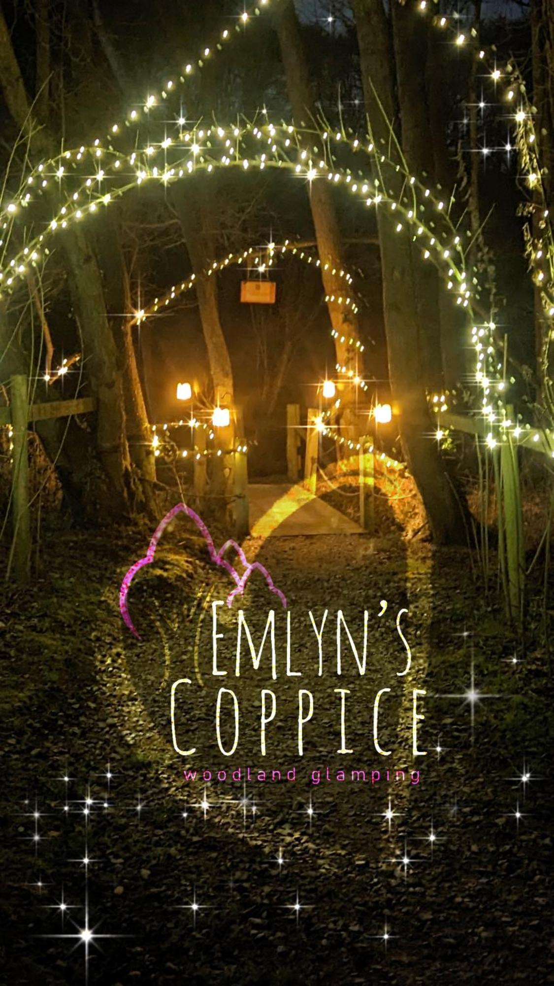 Emlyn'S Coppice - Luxury Woodland Glamping Villa โฮลีเวล ภายนอก รูปภาพ